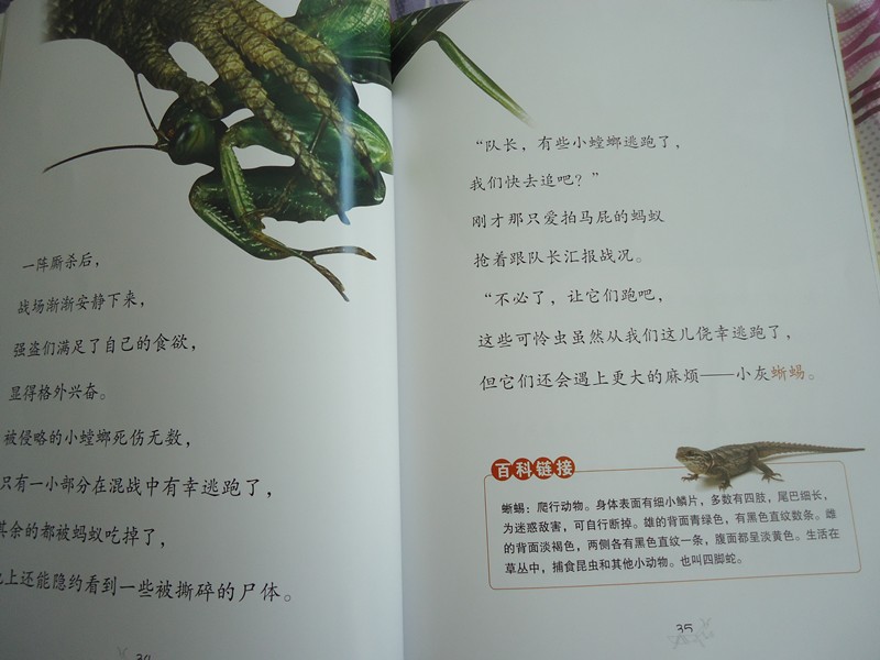 昆虫记螳螂的资料卡片图片