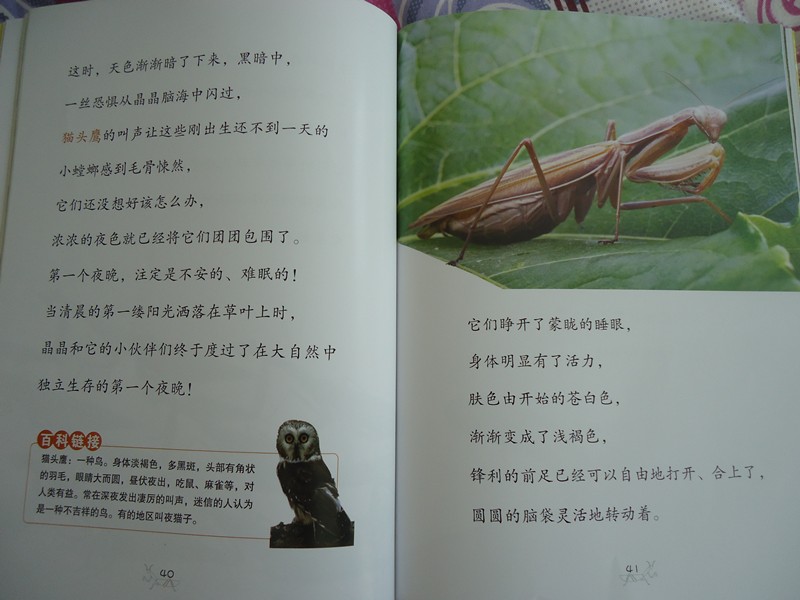 螳螂的一生法布尔昆虫记阅读心得