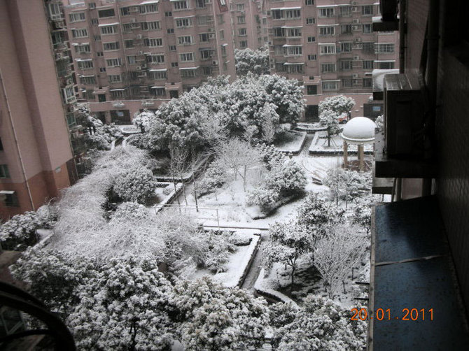 上海下大雪