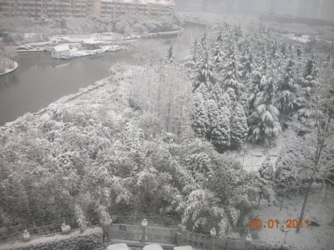 上海下大雪1