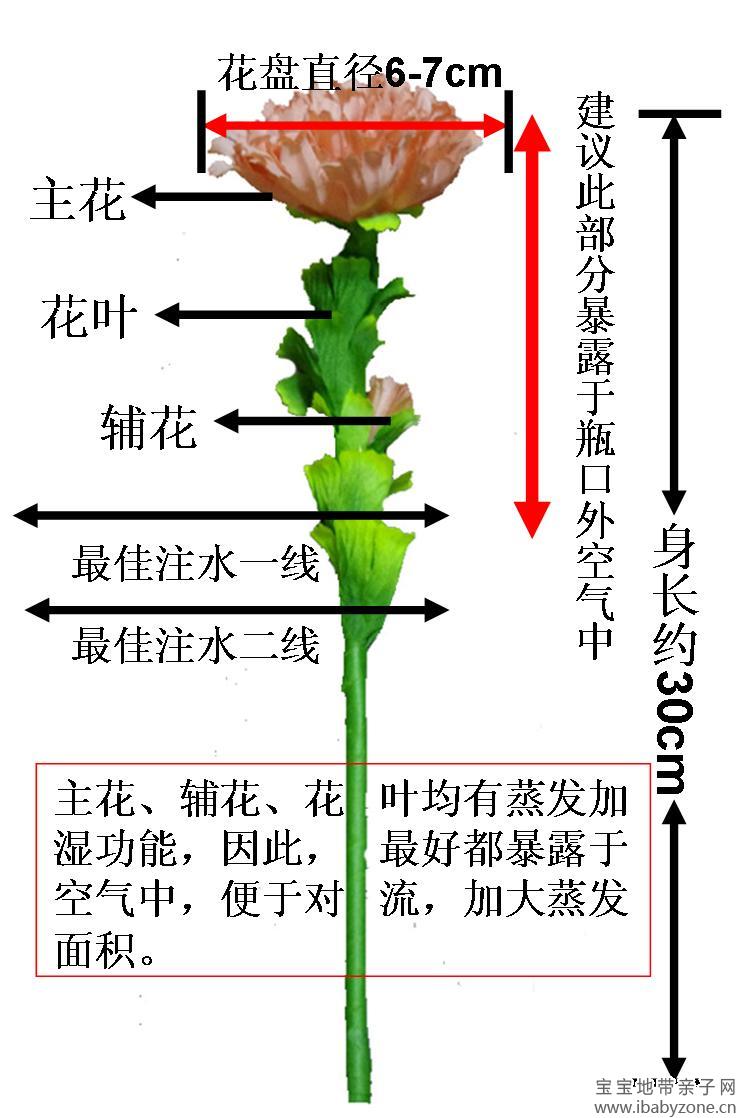 桔红产品结构图