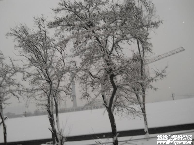 雪景028