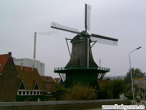 荷兰4