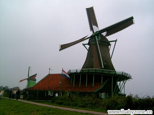 荷兰6
