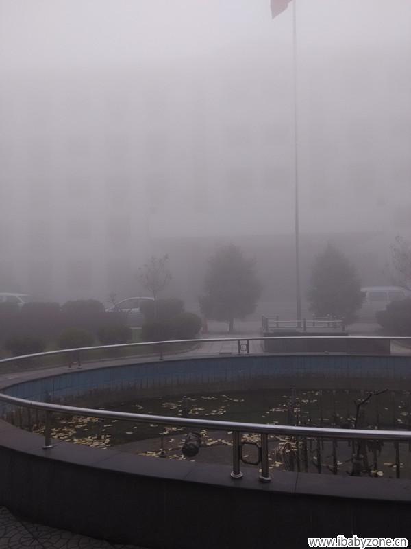雾中