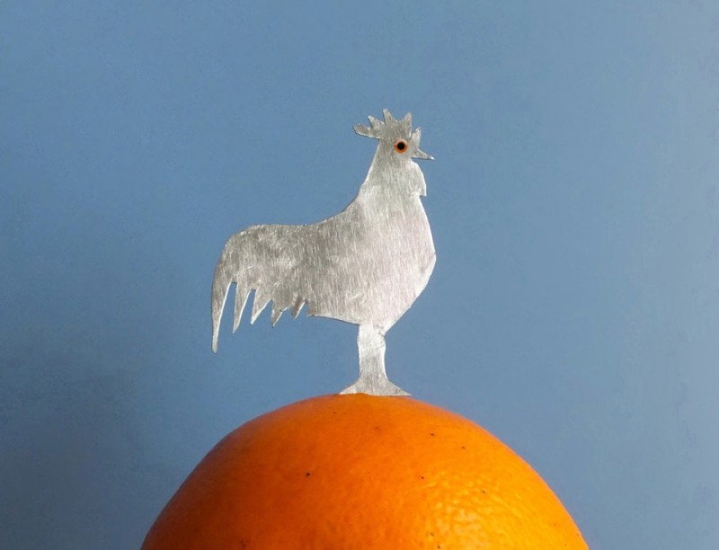 橙子上站只铁公鸡