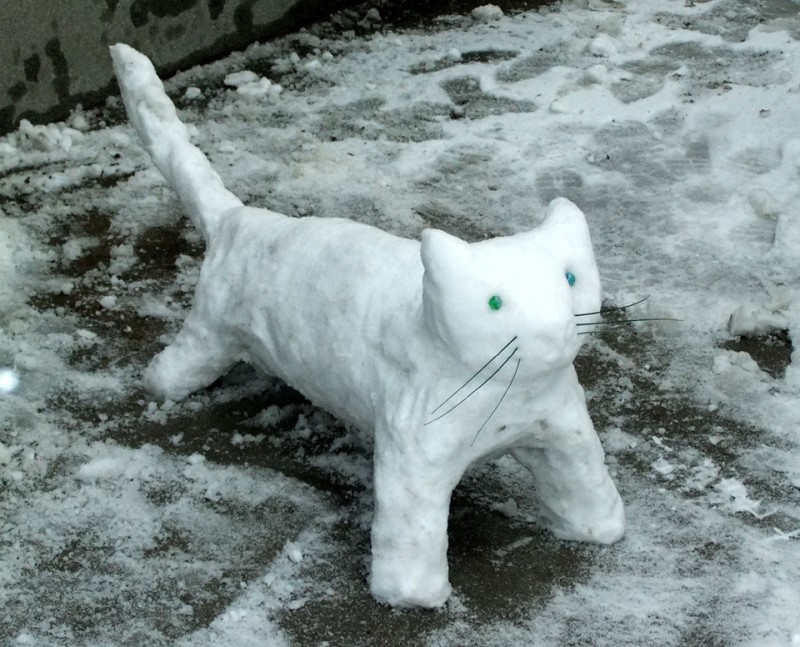 可爱雪猫图